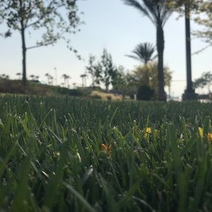 Meet your Posher, Jocelyn